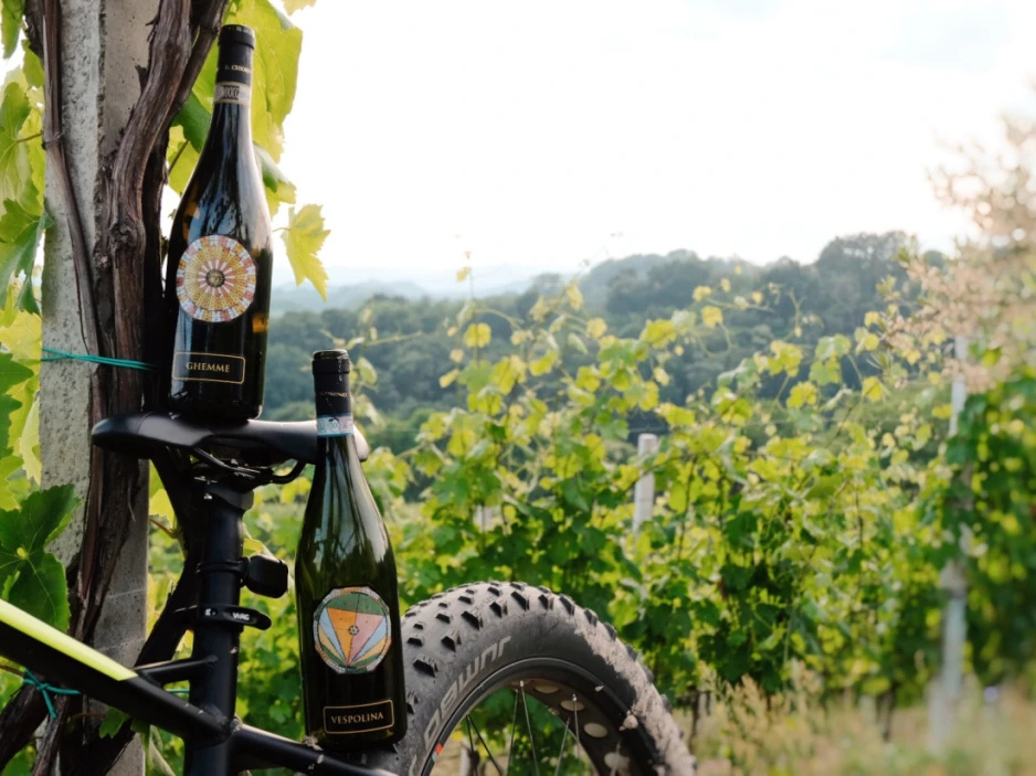 Bike and Wine nelle vigne del Gattinara 1